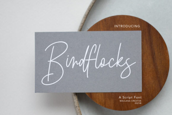 Birdflocks Script: A Delicate Touch for Modern Design