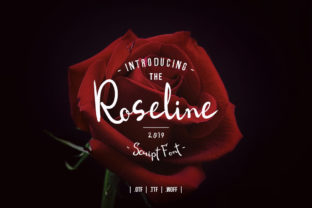 Discovering Roseline Script: A Handwritten Font That Captures Authenticity in a Digital World