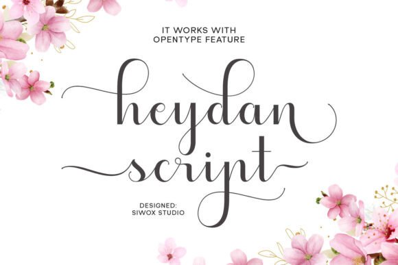 Heydan Script: A Versatile Font for Personal and Professional Projects